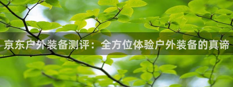 新宝gg返点模式