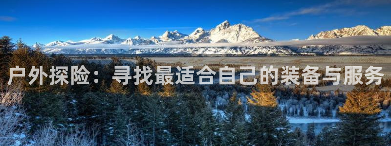 新宝gg平台下载安装