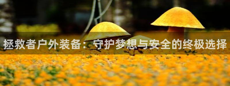 新宝GG亚洲