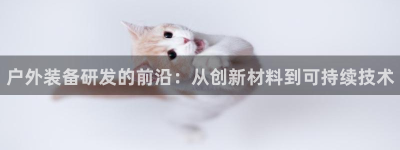 新宝GG反点