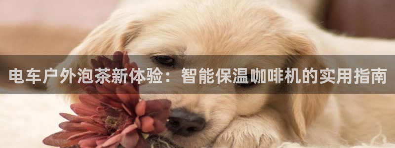 新宝gg真的能赚钱么