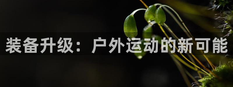 新宝gg 金苹果