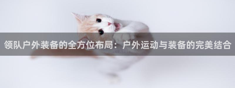 新宝gg找回账号
