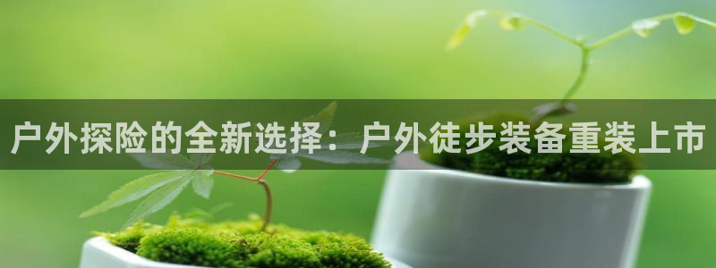 新宝gg会员