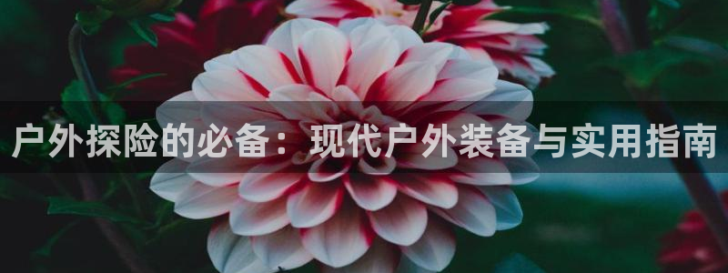 x新宝gg