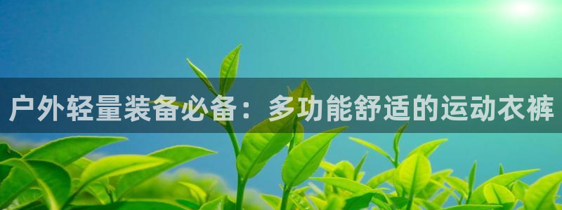 新宝gg维护