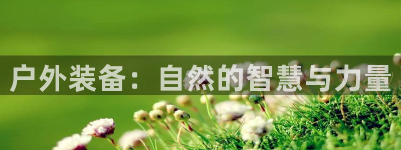 新宝gg-