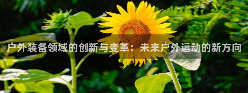 新宝gg创造奇迹下载