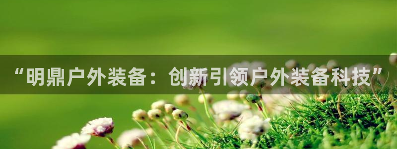 新宝gg开户