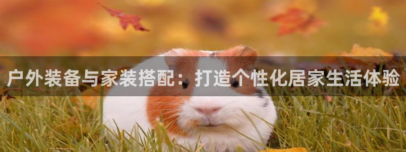 新宝gg如何