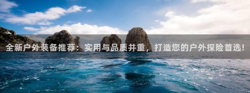 新宝gg总管