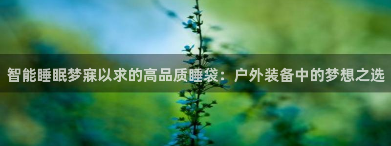 gg新宝创新