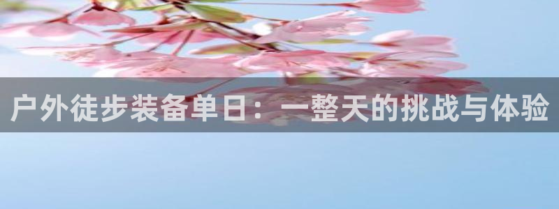 新宝GG创业奇迹