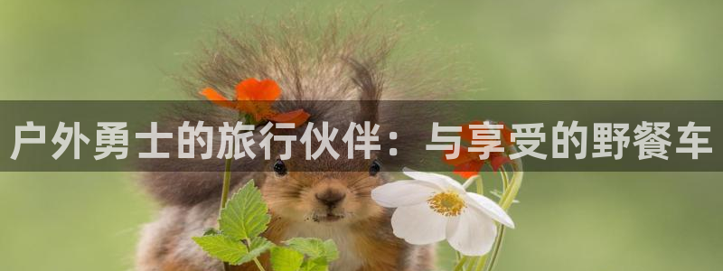 新宝gg招商致胜团队