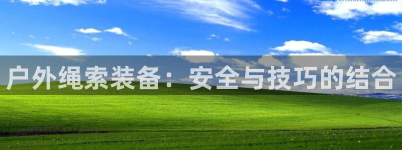 新宝gg客户登录