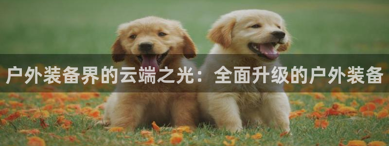 新宝gg注册平台