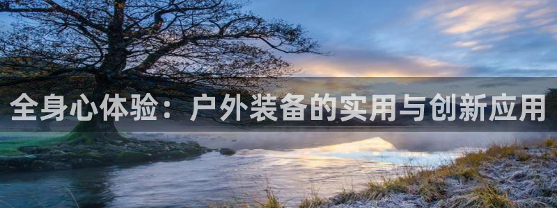 新宝gg下载官网下载