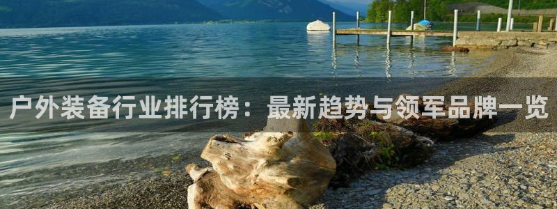 新宝gg手机注册官网