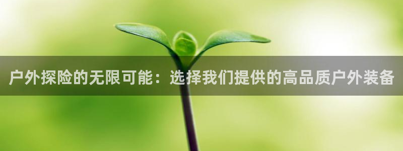 新宝gg首页平台