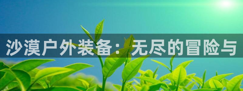 新宝gg登录链接