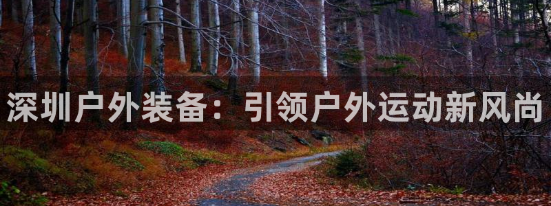 新宝gg重