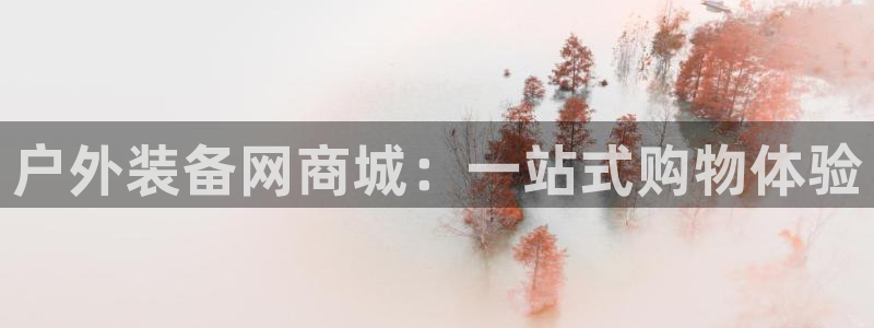 新宝GG53339咨询新宝GG