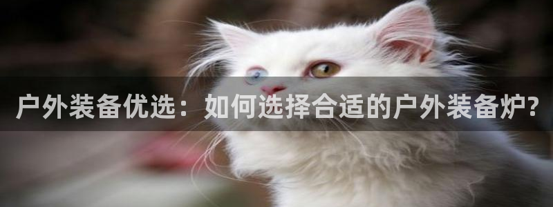 新宝gg如何注册登录