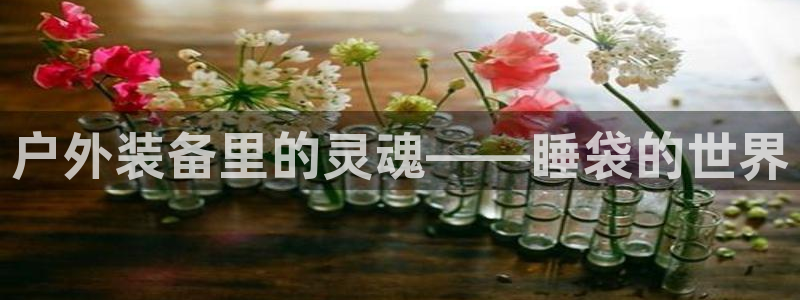 新宝gg在哪开户