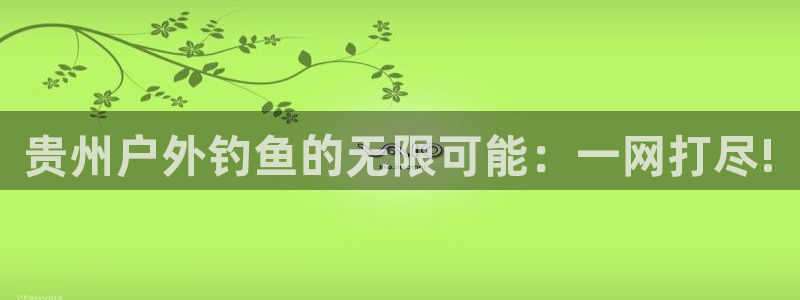 怎么下载新宝gg