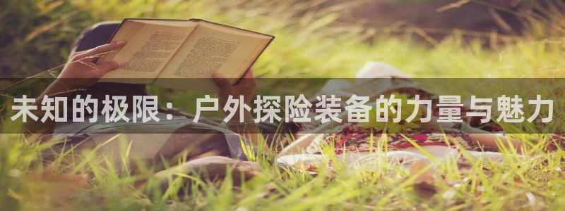 新宝gg金砖彩票