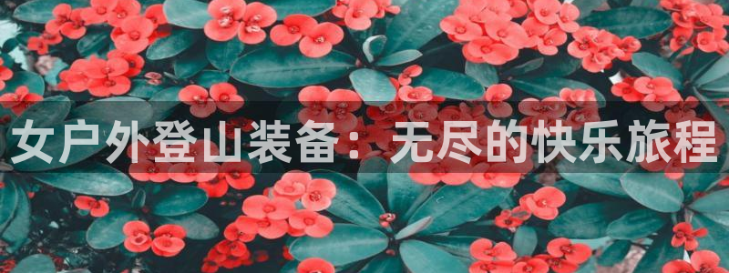 新宝gg娱乐盟主