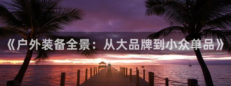 新宝gg   创造奇迹