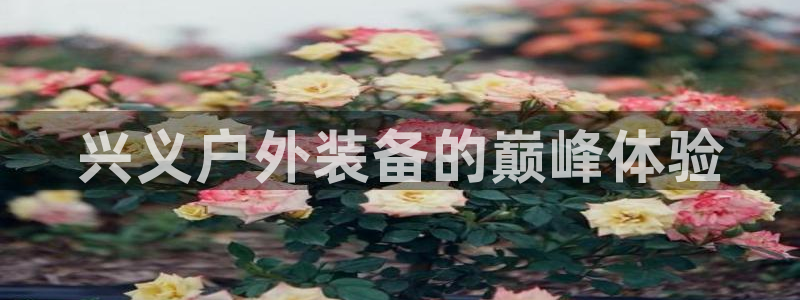 新宝gg娱乐怎么样