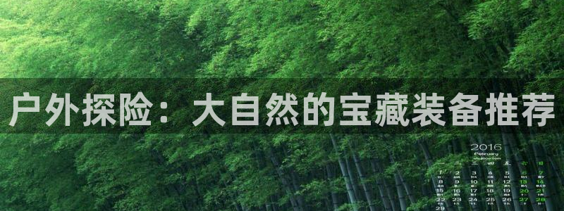 新宝gg官方注册找上级