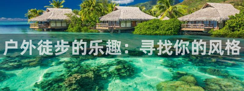 新宝gg注册新账号