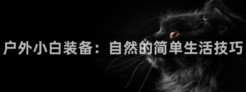 新宝GG53339咨询新宝GG