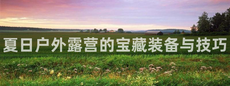 新宝gg客户登录