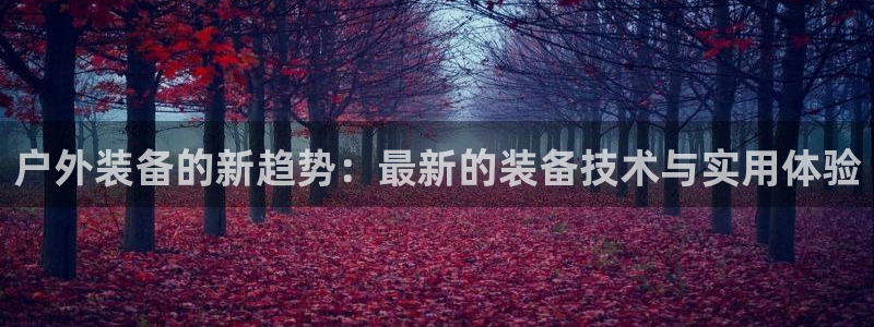 新宝6娱乐新宝gg