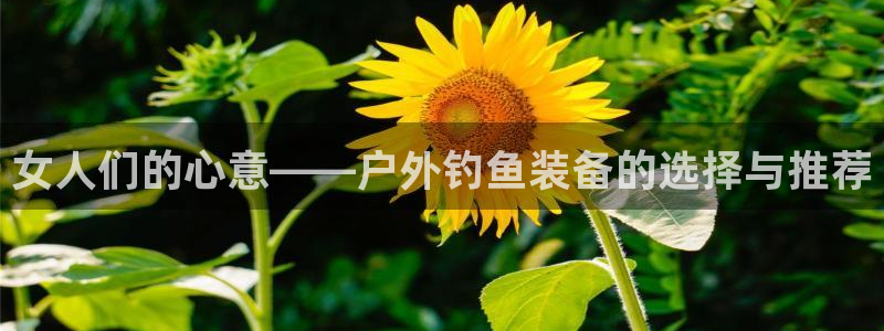 新宝gg高频彩票