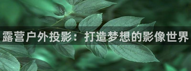 新宝gg怎样代理