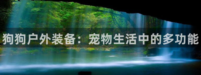 创造奇迹 新宝gg