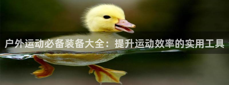 新宝 gg 登录注册