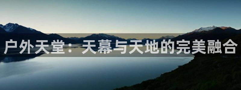 新宝gg怎样代理