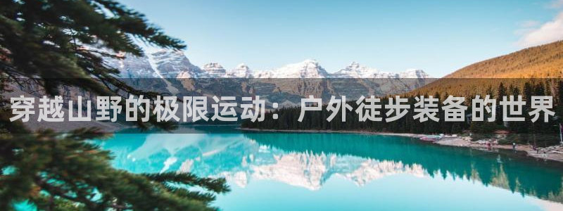 新宝gg娱乐注册