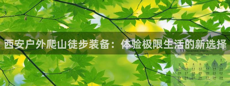 新宝gg联系