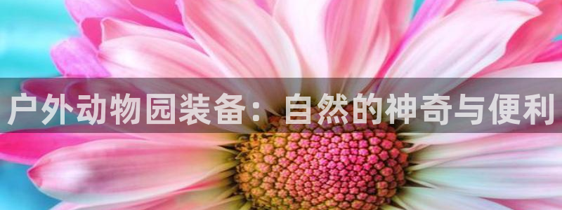 新宝gg返点模式