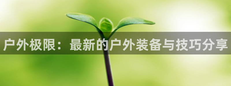新宝gg平台开发