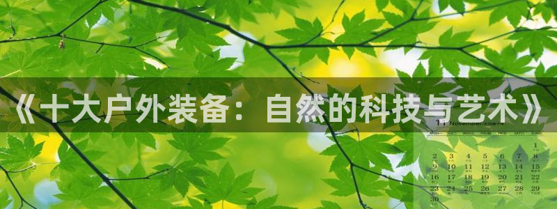 新宝gg手机版下载