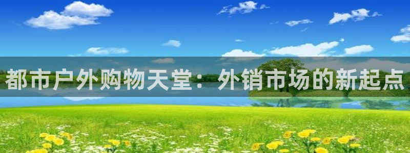 新宝gg主