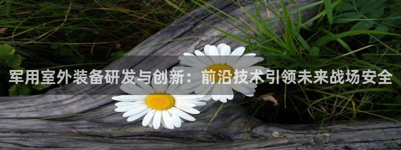 新宝gg成立